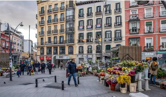 Hostal Andrea Sol Madrid